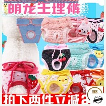 Dog health pants Teddy menstrual pants than bear VIP pet bitch aunt pants anti-harassment safety dog underwear