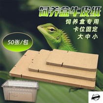  Climbing pet kraft paper cushion reptile feeding box Matching cushion paper palace lizard toy color cushion paper towel pet box