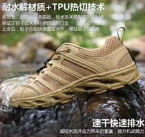 Bangpi Shi Tu home tracing shoes summer breathable men hiking shoes outdoor non-slip waterproof sports shoes