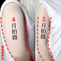 (Fast Triple Transformation) thin arm artifact also your swan arm away from butterfly sleeves shoulder thick paste