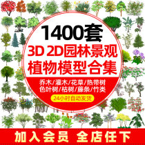 2D3D Garden landscape plants flowers trees trees flowers shrubs sketchup Sketch Master SU model library