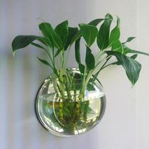 Paste wall balcony modern semicircle restaurant toilet wall hanging vase decoration flowerpot bedroom fish tank