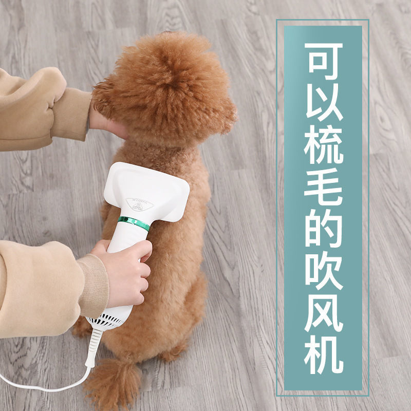 Pet hair blowing hair pulling artifact Hair blowing comb Dog hair pulling machine Integrated hair dryer Teddy hair blowing comb beauty special 