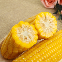Fresh corn Waxy corn Fresh corn Vacuum packed ready-to-eat sticky corn Authentic Northeast organic corn cob rice