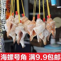 Natural conch horn can blow trumpet whistle Oversized shell whistle Childrens toy whistle Small screw can blow