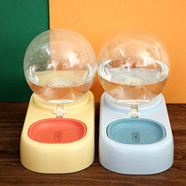 Cat water dispenser pet supplies dog feeder drinking water non-wet mouth cat water basin flowing water unplugged water bowl