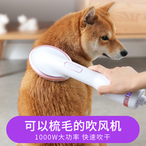 Dog hair dryer Hair pulling one artifact Quick-drying Pet bath special size dog Teddy hair combing universal