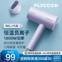 Electric hair dryer dormitory student Feike hair dryer negative ion hair care blower hot and cold wind household High Power