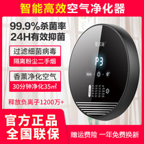Negative Ion Air Purifier Germicidal Sanitizing Machine Home Toilet Pet Deodorant Smell formaldehyde Incense Machine Small