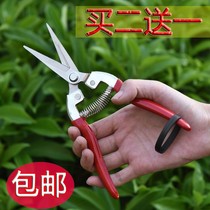 Pruning fruit tree pruning scissors Gardening pruning branches Garden labor-saving pruning branch scissors Household tools Scissors artifact