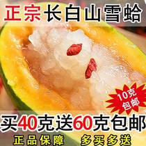 Snow clam oil forest frog oil northeast specialty Changbai mountain snow clam oil papaya stewed snow clam Birds Nest 10g