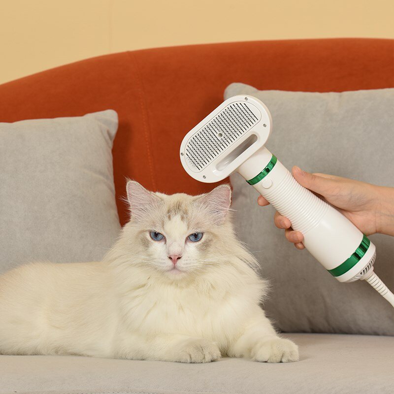 Teddy hair dryer Pull hair Dog drying Cat hair comb artifact Bath all-in-one machine Pet water blower