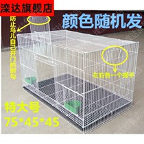 Iron wire Birdcage parrot cage thick cage bird cage watching super-large Xuanfeng tiger skin breeding