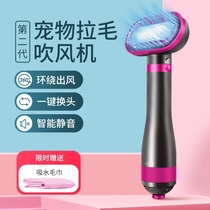Dog hair dryer hair pulling artifact Quick dry cleaning bath dedicated to Teddy hair blowing all-in-one pet high-power mute