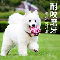 Pet molars cotton rope ball dog knot cotton ball toy golden labrador bite-resistant toy ball
