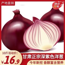 Gansu fresh onion dark purple onion head round purple skin red purple large onion vegetable fresh onion