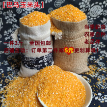 21 years Guangxi Bamas selenium-rich hometown pearl yellow corn head corn residue small dumplings new corn grits porridge 3kg