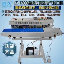 LZ-1200 Continuous Vacuum Pumping and Sealing Machine