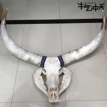 Inner Mongolia characteristic national style natural consumption cow skull home horn decoration pure handmade cow skull crafts