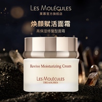 LesMolecules Lesmol Rejuvenating Cream Ceramide Nicotinamide High Moisturizing and powerful moisturizing Cream