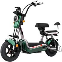 New national standard electric bicycle small battery car electric car parent-child scooter assisted motorcycle New