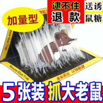 5 powerful sticky mouse boards mouse blankets rat traps big mouse clips rat traps glue devices household litter ends