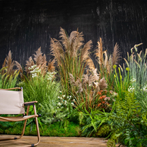 Net red reed grass simulation dry flower dog tail camping wind plant bionic fake green plant potted landscaping decoration decoration