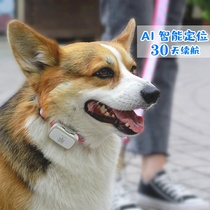 Pet gps dog anti-lost artifact locator collar chip smart wireless booking dog tracker