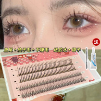 Fish tail a type false eyelashes grafted fairy hair under the eyelash single cluster supernatural simulation womens single root self-adhesive Net Red