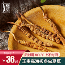 National grass Cordyceps sinensis Tibet Nagqu authentic male health treasures specialty wild fresh dry goods 1 Cordyceps