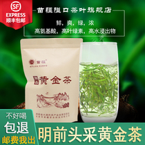 21 years new tea Miao Xinjiang pass mouth Hunan Xiangxi gold tea fried green before the special Baojingtou spring green tea 250g