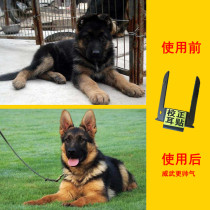 Dog standing ear dog ear standing ear standing device dog ear correction fixed pet dog Patch ear 6