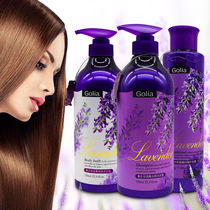 Lavender shampoo Shower gel set Anti-dandruff anti-itching oil control perfume long-lasting fragrance female family outfit male