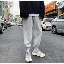 Spring and autumn winter ins pants men Korean version of the trend loose straight tube pants bunch foot ankle-length pants leisure sports long