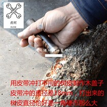 Mushroom Tree Punch Hole Instrumental Linden Wood Agaric Punching Machine Wood Lid Punch Wood Gardener Wood Gardener Wood Garden Column Punching Belt Punch