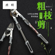 Labor-saving thick branches strong telescopic gardening scissors fruit tree garden branches special scissors pruning shears artifact branch imported