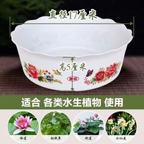  Copper money grass hydroponic special basin thickened plastic bowl Lotus basin Water lily basin daffodil basin flower basin flower edge round resin