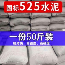 (Cement) fast-drying and quick-drying cement 50kg filled with leakage waterproof Conch Cement masonry wall plugging agent