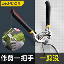 Dili gardening scissors pruning shears flower scissors branch cutting branches cutting fruit tree scissors flower garden Chinese herbal medicine scissors