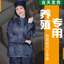 Dust-free clothing Dust-proof clothing suit Mens and womens split clean clothing spray paint protective clothing hooded anti-static clothes overalls