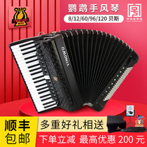 Parrot accordion 60 96 120 bass three or four rows of spring beginners children adult examination professional performance