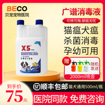x5 disinfectant pet cat plague dog cat Special household deodorant disinfectant water deodorant spray sterilization mop floor