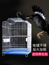 Household large bird cage starling wren parrot cage Stainless steel bird cage Daquan Xuanfeng large breeding cage