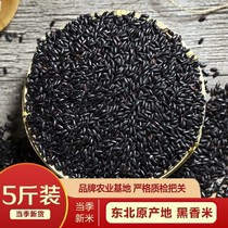 Northeast black rice 5kg rice new goods Heilongjiang farmhouse purple rice fragrant rice 2020 grains porridge glutinous rice Wuchang