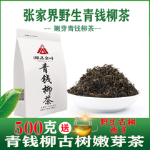 Qingqianliu Tea Ancient tree wild buds Premium sugar-free Qingqianliu tea bag Qianqianliu Tea drop three health tea
