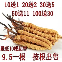 Cordyceps 3 grams of authentic Cordyceps sinensis unbroken grass non-Tibetan Naqu Cordyceps sinensis