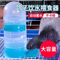 Pigeon utensils supplies Daquan Pigeon automatic feeding water drinking water kettle supplies utensils Carrier pigeon parrot food box food