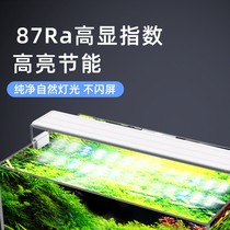 Horse seal lamp dragon fish lamp led waterproof three-base color color enhancement lamp bright red dragon fish aquarium
