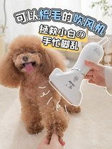 Dog hair dryer brushed artifact quick drying pet large dog Special One cat mute high power comb