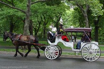 Economic single horse car harness carriage carriage accessories Western giant harness firm